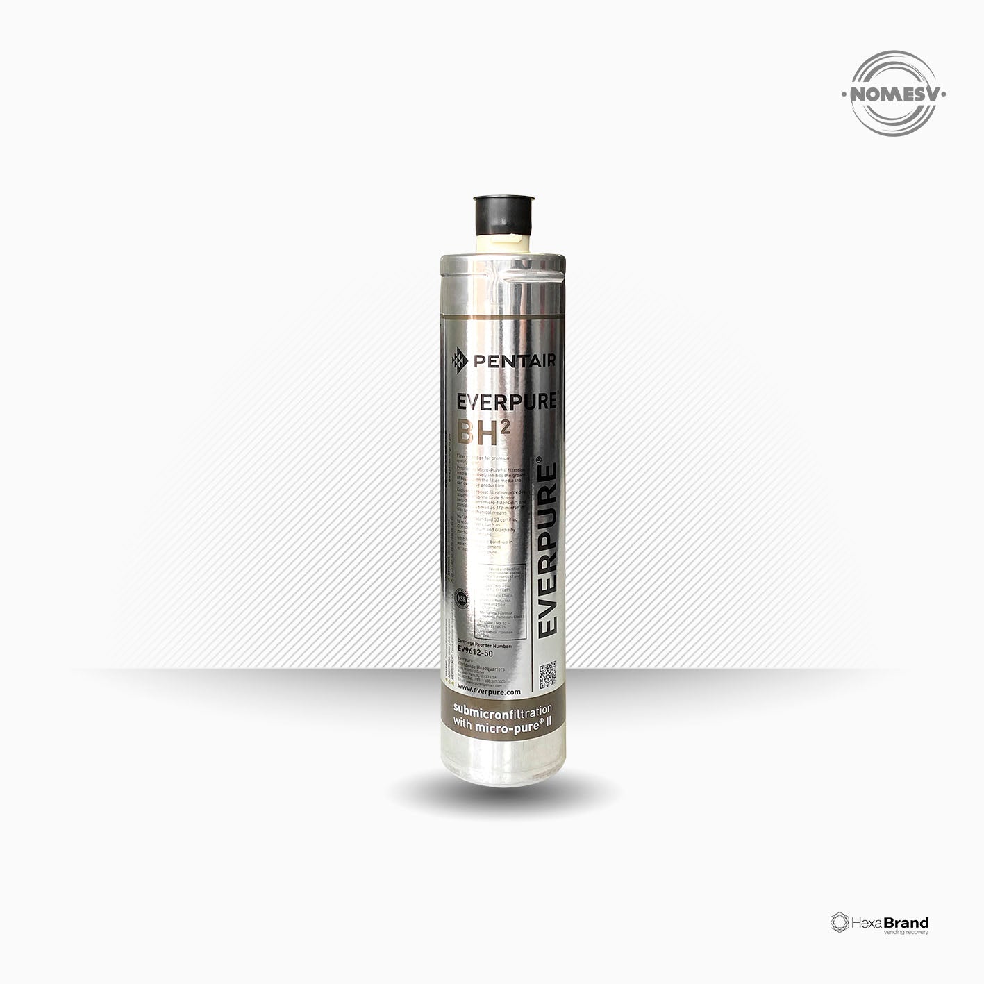 Filtro - Cartuccia Everpure BH2 - EV961251