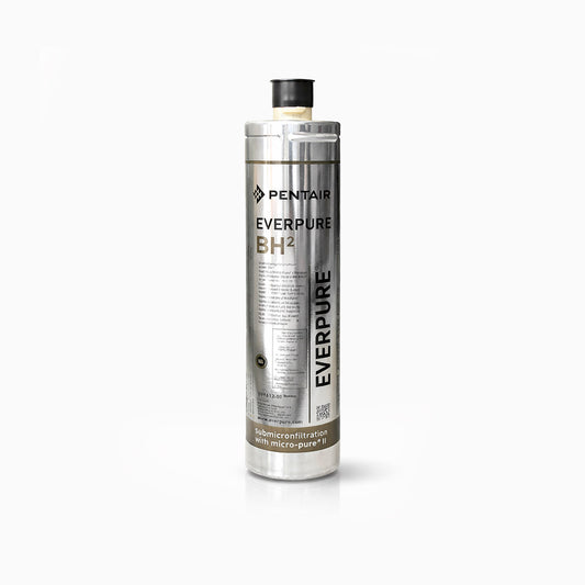 Filtro - Cartuccia Everpure BH2 - EV961251